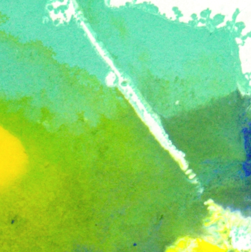 <span class="artinfo"><span class="arttitle">Extra mum #3</span>, 2026, Acrylic on archival paper 12 3/4” x 15 7/8” (framed)</span>