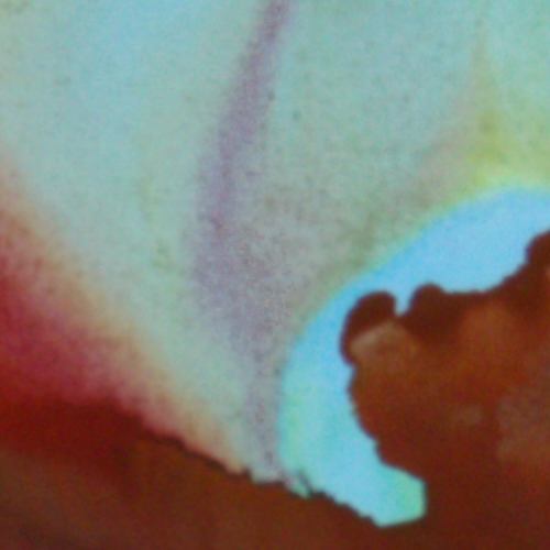 <span class="artinfo"><span class="arttitle">Orbital</span>, 2026, Acrylic on canvas 36” x 48”</span>