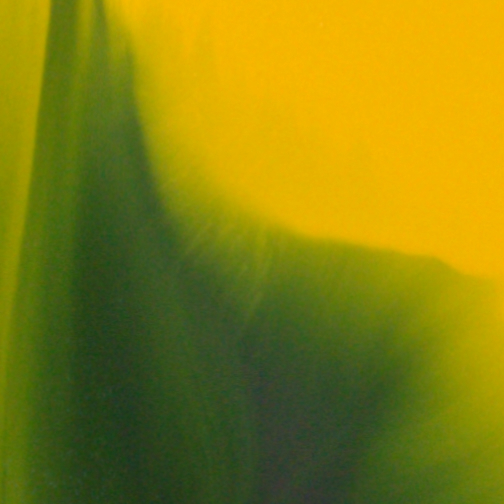 <span class="artinfo"><span class="arttitle">Primary + #1</span>, 2025, Acrylic on cradled panel 24 x 36 x 2”</span>