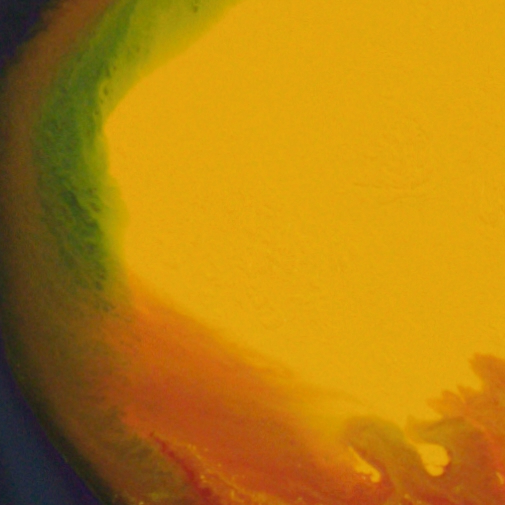 <span class="artinfo"><span class="arttitle">Primary + #2</span>, 2025, Acrylic on cradled panel 24 x 36 x 2”</span>