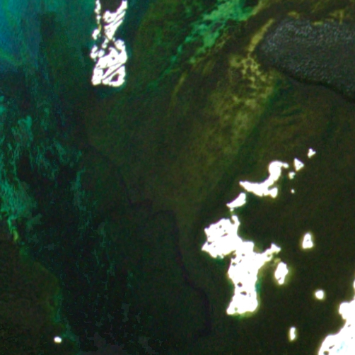 <span class="artinfo"><span class="arttitle">Secret Garden</span>, 2026, Acrylic on cradled panel 48” x 36” x 2”</span>