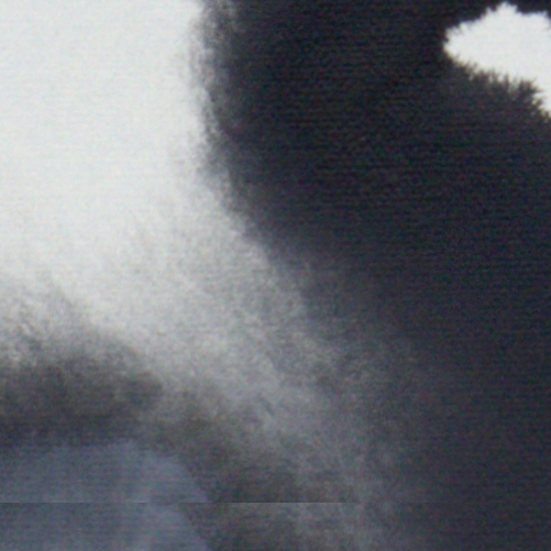 <span class="artinfo"><span class="arttitle">Speciality</span>, 2025, Acrylic on canvas 15 x 11”</span>