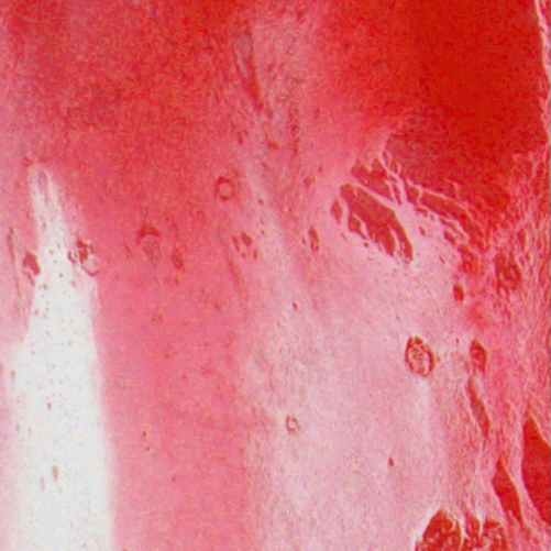 <span class="artinfo"><span class="arttitle">The Whale’s Belly</span>, 2025, Acrylic on cradled panel 48 x 60 x 2”</span>