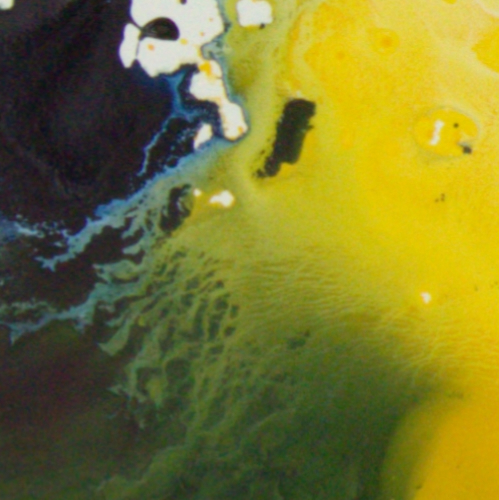 <span class="artinfo"><span class="arttitle">Wild One</span>, 2025, Acrylic on cradled board 40 x 30 x 2”</span>