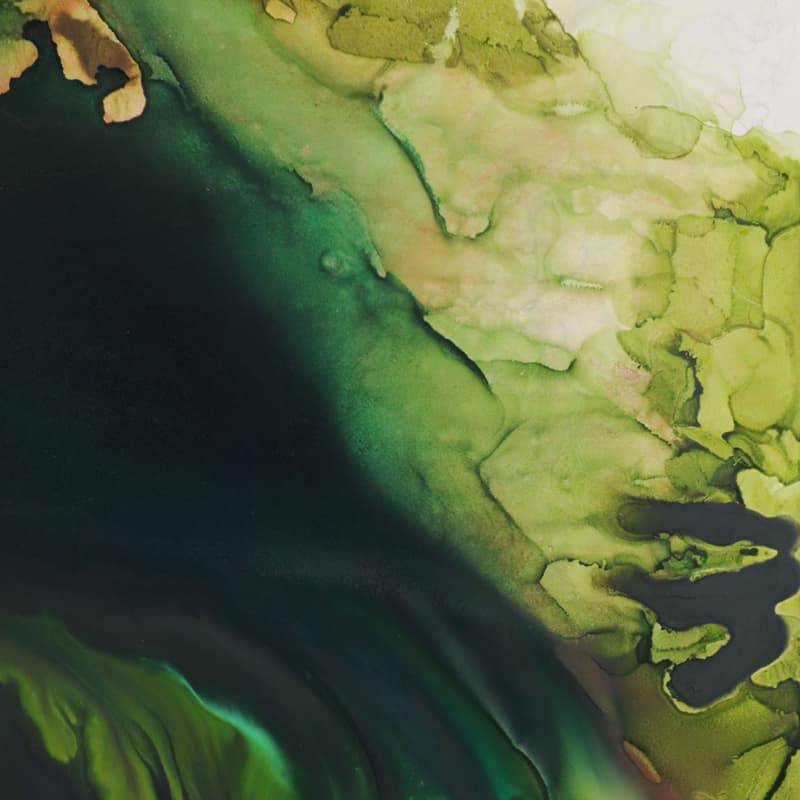 <span class="artinfo"><span class="arttitle">Cambrian Surge</span>, 2018, Acrylic on board, 24" x 18"</span>