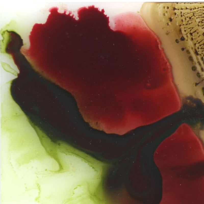 <span class="artinfo"><span class="arttitle">Isabella</span>, 2017, Acrylic on Plexiglass, 8" x 10" <span class="artsold">sold</span></span>